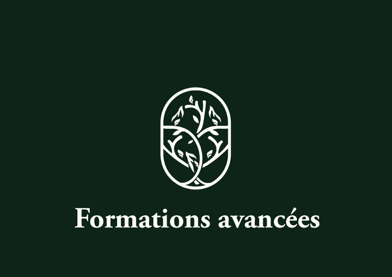 formations-avancees-faculte-jean-calvin