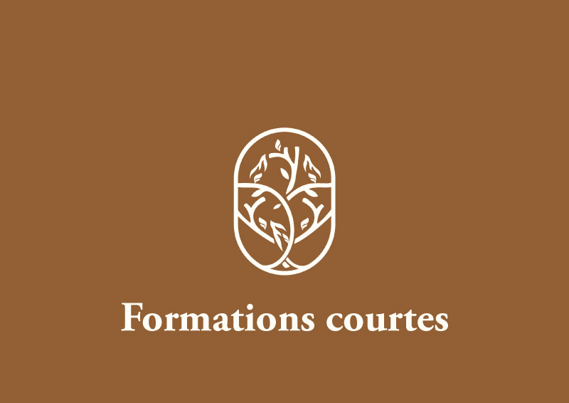 formations-courtes-faculte-jean-calvin