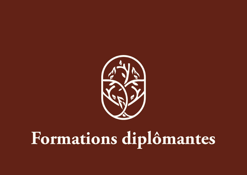 formations-diplomantes-faculte-jean-calvin