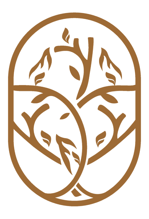 formatoins_universitaires-2-eme-cycle-VAE-theologie-professionnel-faculte-jean-calvin